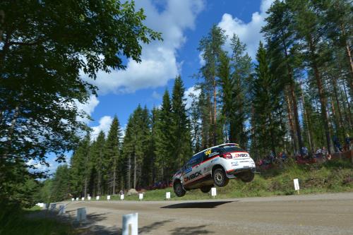 Suninen.jpg